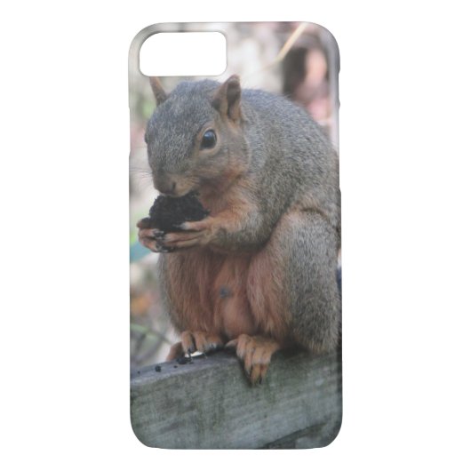 Cute Squirrel met nut Phone Case (Achterkant)