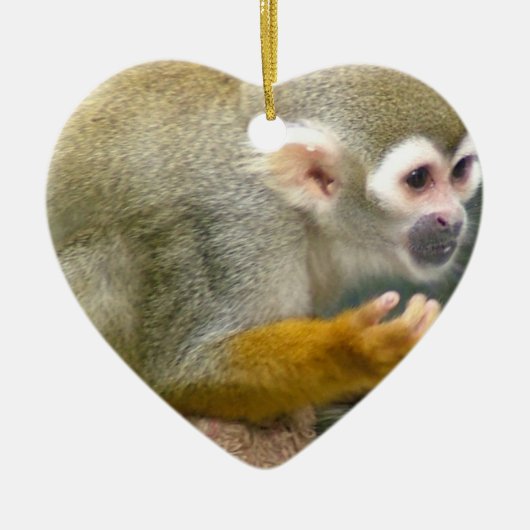 Cute Squirrel Monkey Ornaments Keramisch Ornament (Voorkant)
