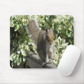 Cute Squirrel Mousepad Muismat (Met muis)