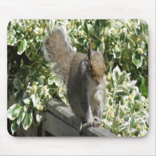 Cute Squirrel Mousepad Muismat