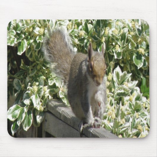 Cute Squirrel Mousepad Muismat (Voorkant)