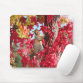 Cute Squirrel Muismat (Met muis)