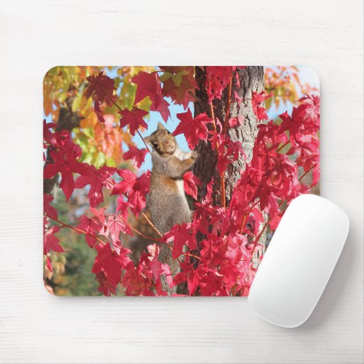 Cute Squirrel Muismat (Met muis)