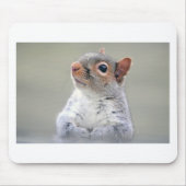 Cute Squirrel Muismat (Voorkant)