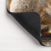 Cute Squirrel Muismat (Hoek)