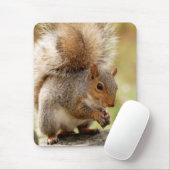 Cute Squirrel Muismat (Met muis)