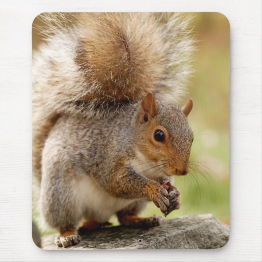 Cute Squirrel Muismat (Voorkant)