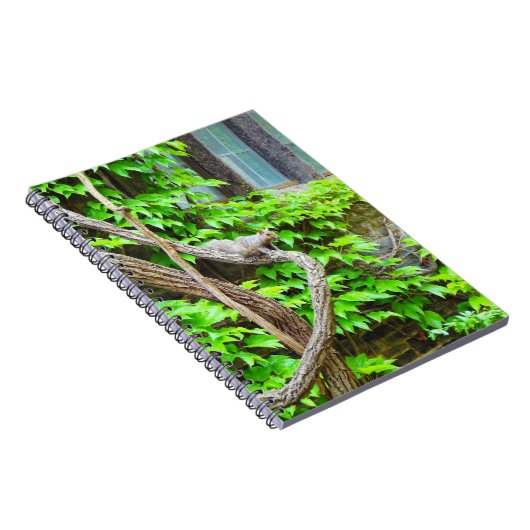 Cute Squirrel Notitieboek (Rechterzijde)