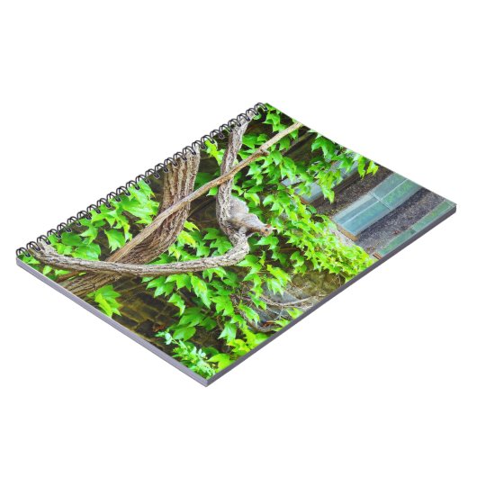 Cute Squirrel Notitieboek (Linkerzijde)