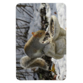 Cute Squirrel on Rabbit Bird Feeder Magneet (Verticaal)