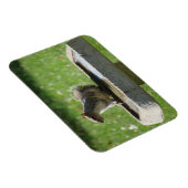 Cute Squirrel op Bird Bath Magneet (Rechterzijde)