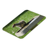 Cute Squirrel op Bird Bath Magneet (Linkerzijde)