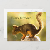 Cute Squirrel op een Cookie Jar Briefkaart (Voorkant / Achterkant)