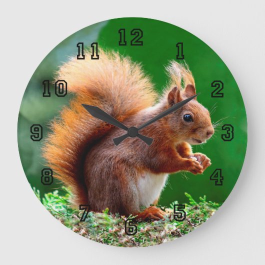 Cute Squirrel op Grass Clock Grote Klok (Voorkant)
