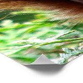 Cute Squirrel op Grass Poster (Hoek)