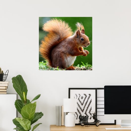 Cute Squirrel op Grass Poster (Thuiskantoor)