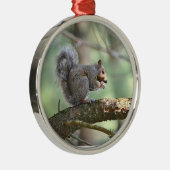 Cute Squirrel Ornament (Rechts)