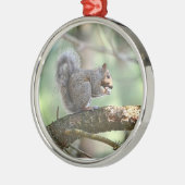 Cute Squirrel Ornament (Links)