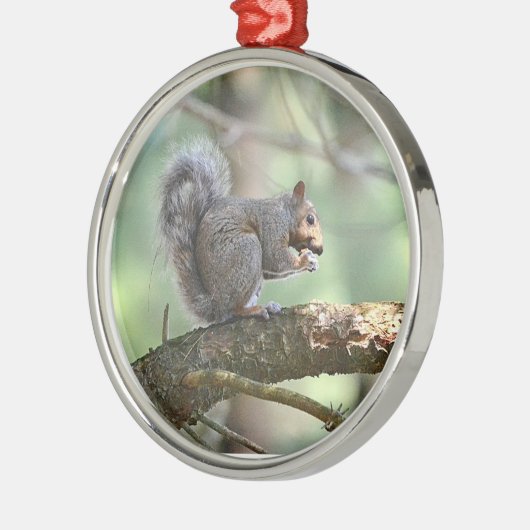 Cute Squirrel Ornament (Links)