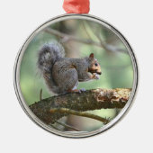 Cute Squirrel Ornament (Voorkant)