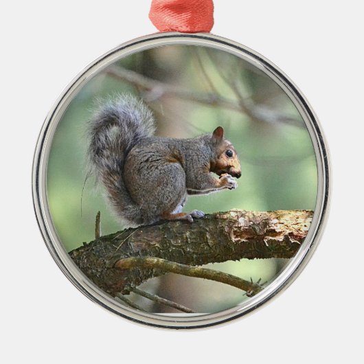 Cute Squirrel Ornament (Voorkant)
