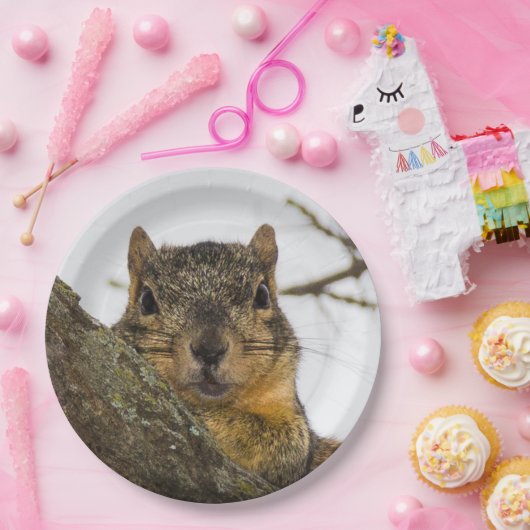 Cute Squirrel Papieren Bordje (Feest)