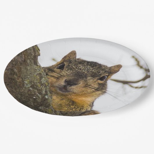 Cute Squirrel Papieren Bordje (Gekanteld)