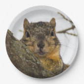 Cute Squirrel Papieren Bordje (Voorkant)