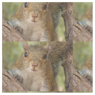 Cute squirrel patroon op materiaal. stof