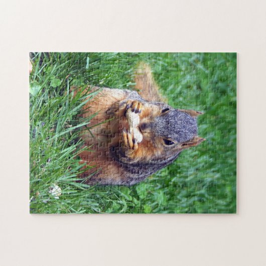 Cute Squirrel Peanut Foto Legpuzzel (Horizontaal)