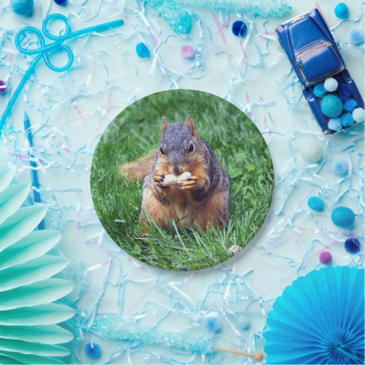 Cute Squirrel Peanut Foto Papieren Bordje (Feest)
