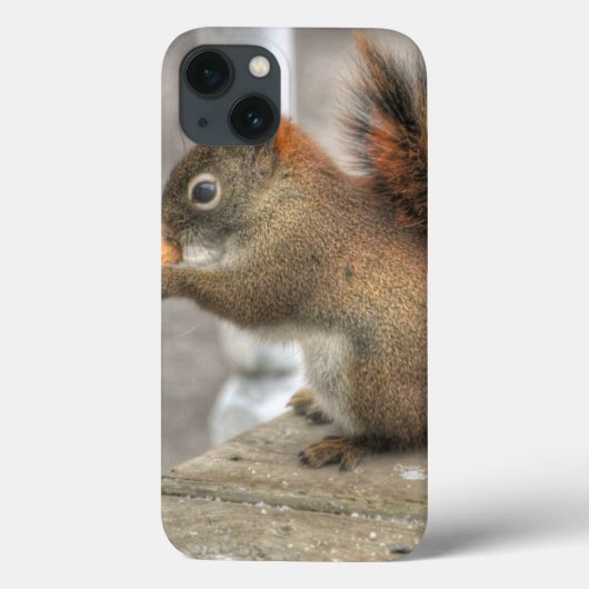 Cute Squirrel & Peanut Wildlife Foto Case-Mate iPhone Case (Achterkant)