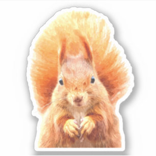 Cute Squirrel Portrait Sticker