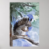 Cute squirrel poster (Voorkant)