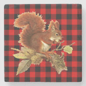 Cute Squirrel Red Black Buffalo Check Pset Stenen Onderzetter (Voorkant)