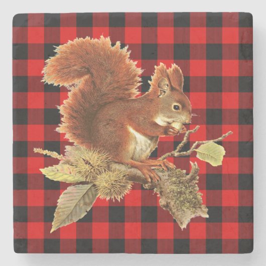 Cute Squirrel Red Black Buffalo Check Pset Stenen Onderzetter (Voorkant)