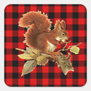 Cute Squirrel Red Black Buffalo Check Pset Vierkante Sticker