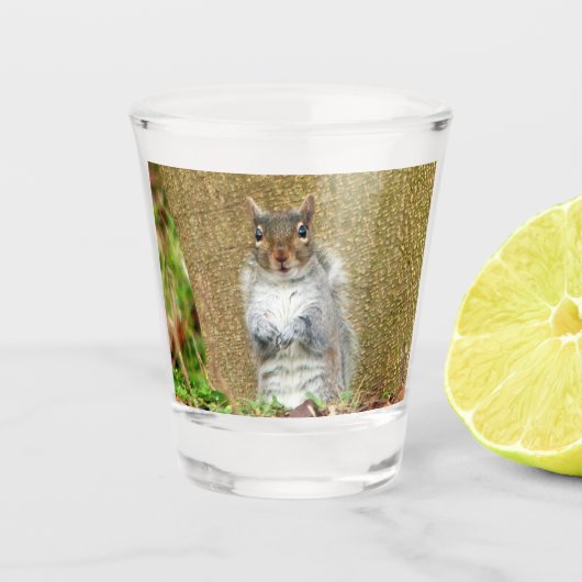 Cute Squirrel Shot Glas (Voorkant)