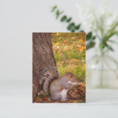 Cute Squirrel Sluiten Post Card Briefkaart (Staand voorkant)