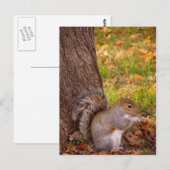 Cute Squirrel Sluiten Post Card Briefkaart (Voorkant / Achterkant)