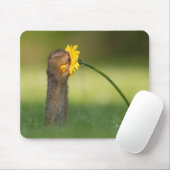 Cute Squirrel Smelling Dandelion Flower Muismat (Met muis)
