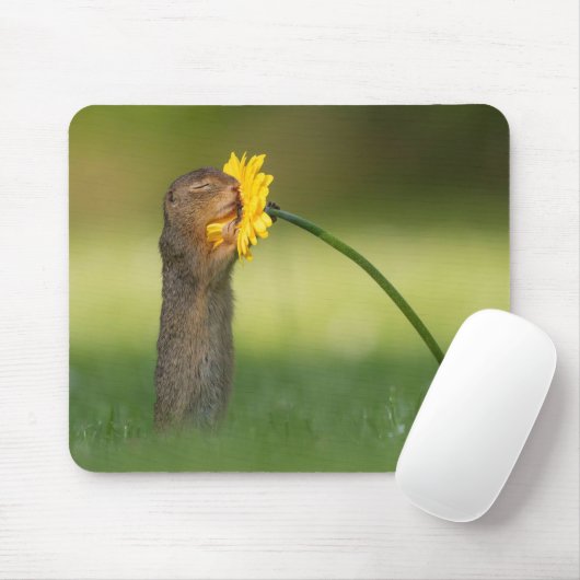 Cute Squirrel Smelling Dandelion Flower Muismat (Met muis)