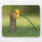 Cute Squirrel Smelling Dandelion Flower Muismat (Voorkant)