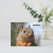 Cute Squirrel Smiling Closeup Foto Briefkaart (Staand voorkant)