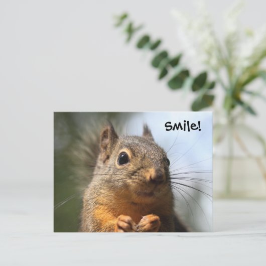 Cute Squirrel Smiling Closeup Foto Briefkaart (Staand voorkant)