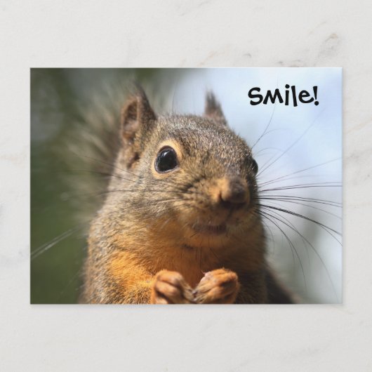 Cute Squirrel Smiling Closeup Foto Briefkaart (Voorkant)