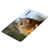 Cute Squirrel Smiling Closeup Foto Magneet (Linkerzijde)