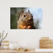 Cute Squirrel Smiling Closeup Foto Poster (Keuken)