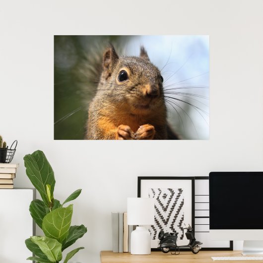 Cute Squirrel Smiling Closeup Foto Poster (Thuiskantoor)