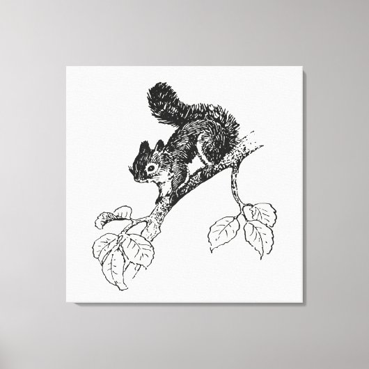 Cute Squirrel  Squirrel Illustratie Canvas Afdruk (Voorkant)